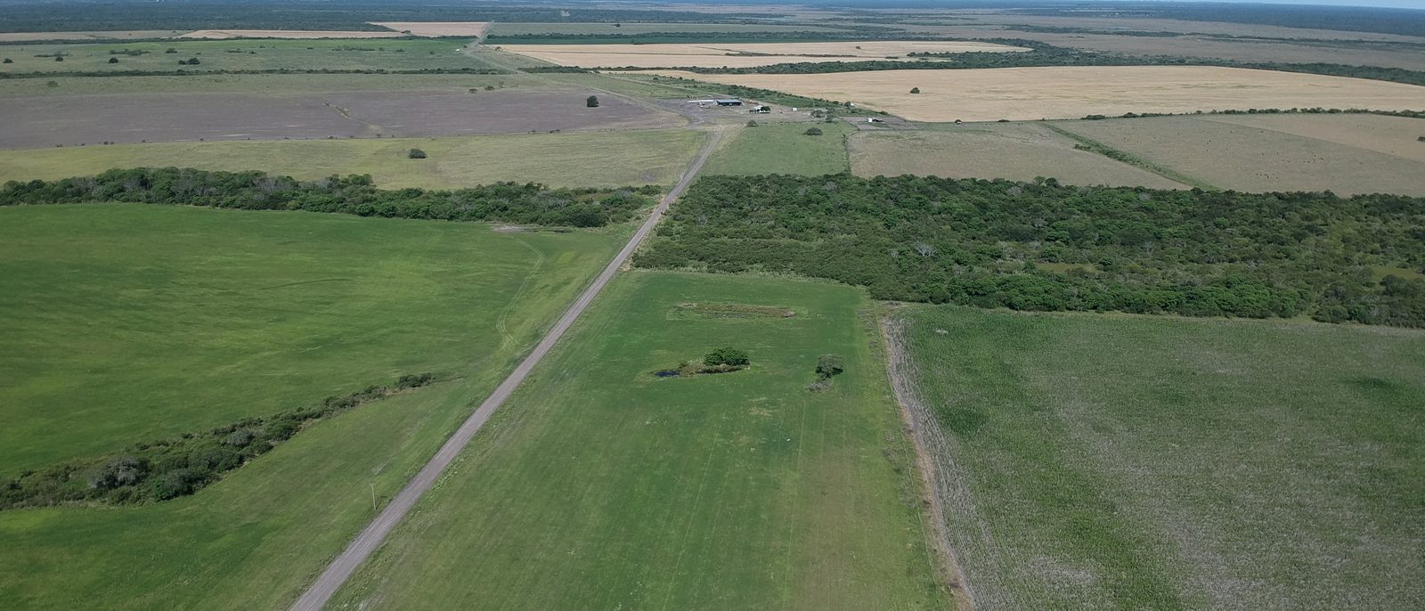 Vista aérea de lotes linderos en distintos estados: pastura verde, cultivo en pie y rastrojo cosechado