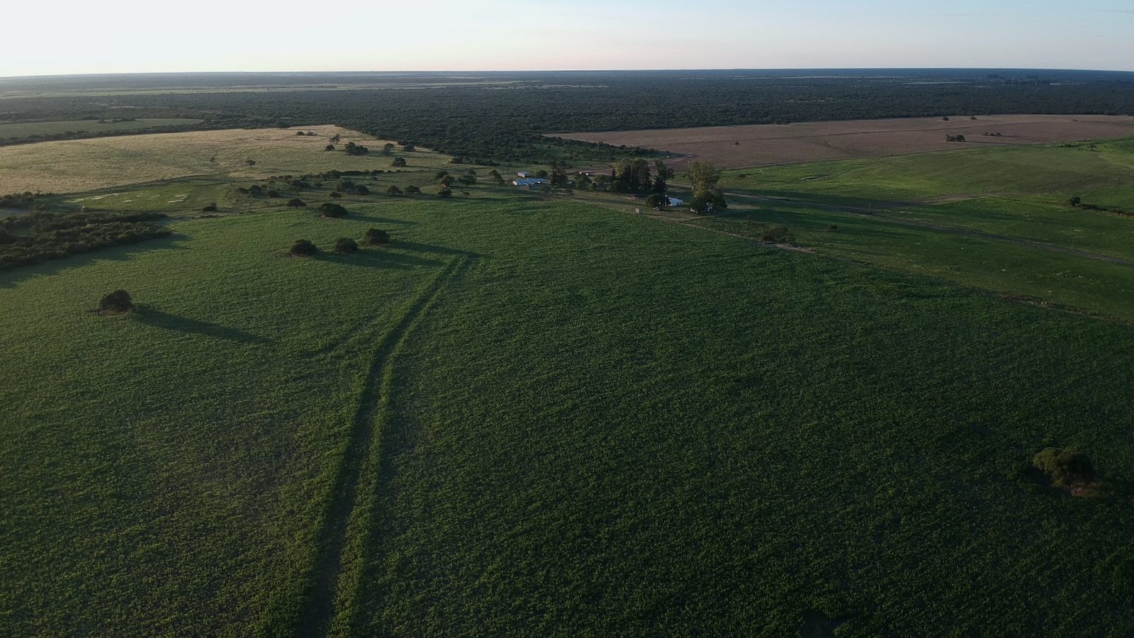 Vista aérea de un campo argentino al atardecer, con los lotes y el casco al fondo